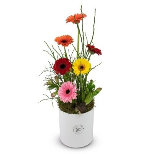 Box of flowers Estelle